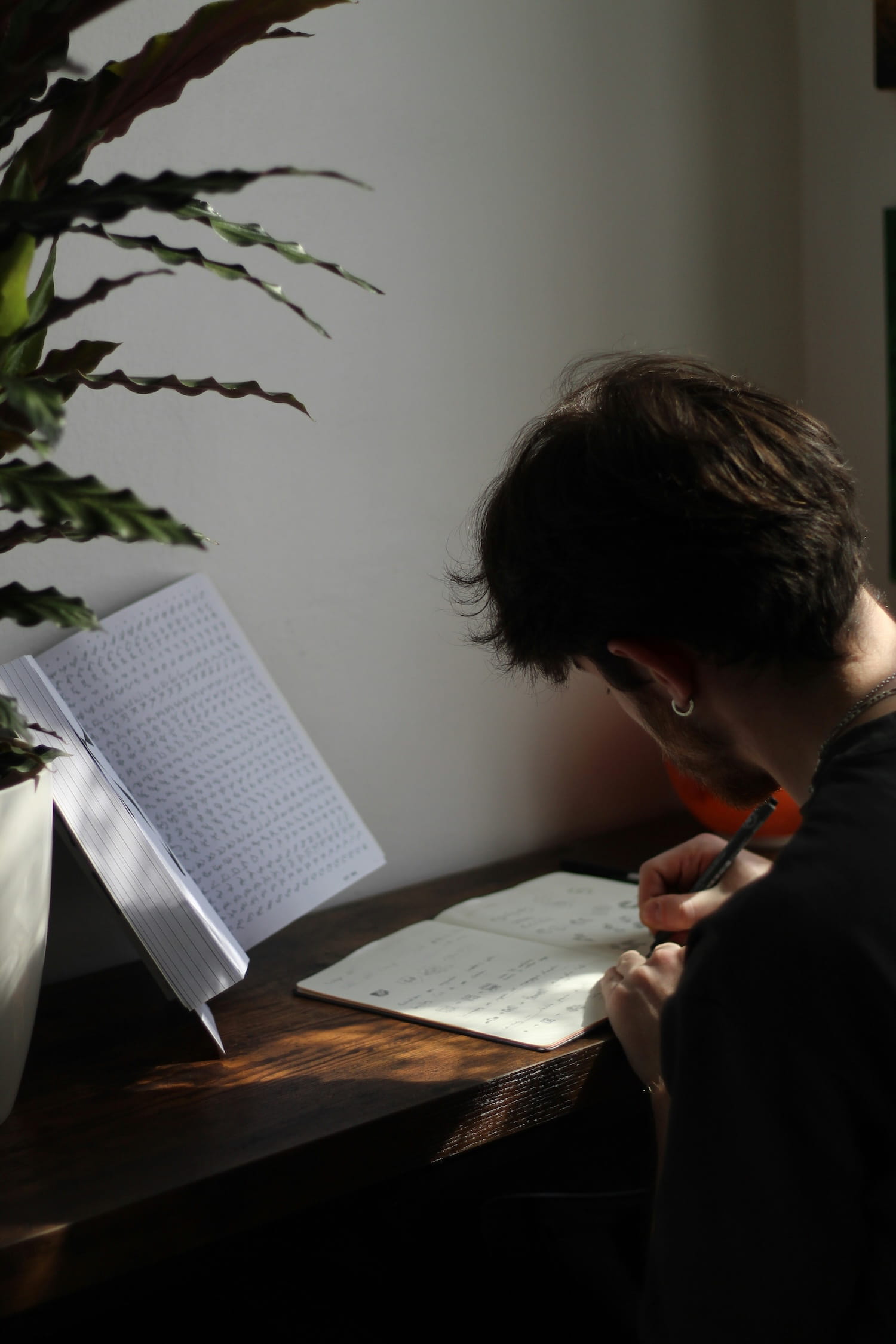 JATS Editor solution